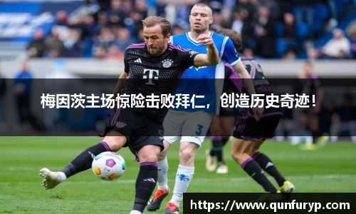熊猫体育app