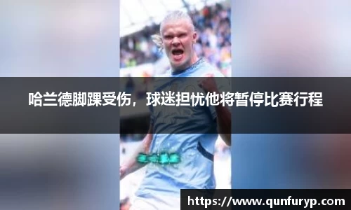 熊猫体育平台官网